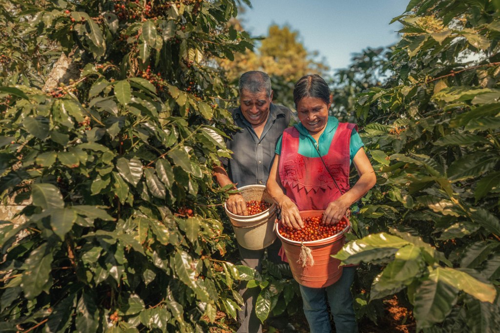 Tim Hortons | Coffee&nbsp;Stories